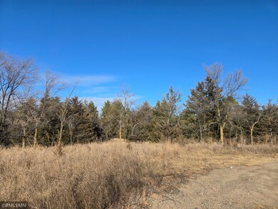 TBD Pine Rd NW, Rice, MN 56367 - photo 7