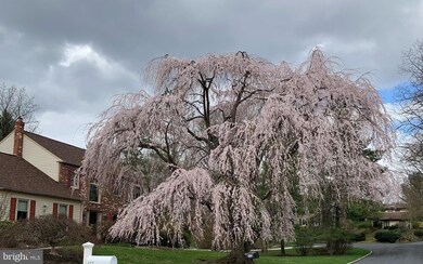 415 Ballytore Rd, Wynnewood, PA 19096 - photo 7