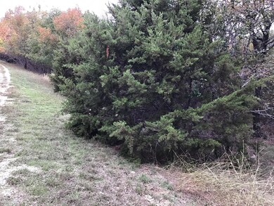 41063 Heartwood Cir, Whitney, TX 76692 - photo 4