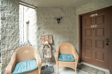 1155 Upper Alpine Way unit 107, Gatlinburg, TN 37738 - photo 4