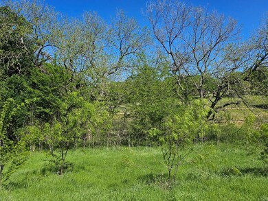 15021 Golf Dr, Whitney, TX 76692 - photo 6