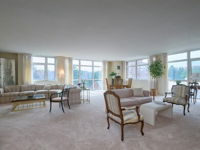 Hampton Place unit 306N, Chestnut Hill, MA 02467 - photo 4