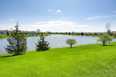 Neighborhood Amenities