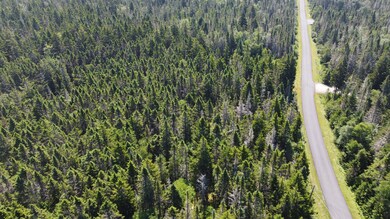 34 Yoho Head Rd, MacHiasport, ME 04655 - photo 6