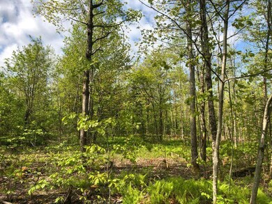 00 Blanchard Cross Rd, Bowdoin, ME 04287 - photo 3