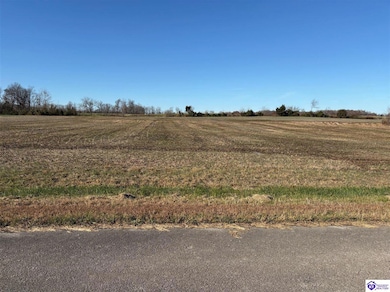 185 Owl Creek Dr, Vine Grove, KY 40175 - photo 2