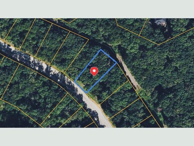 48 Newark Ct, Village of Four Seasons, MO 65049 - photo 2