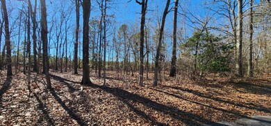 Lot 19 Ridgecrest Ct (5)