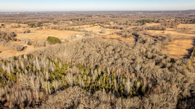 Tract 10 Rooster Rd, Conway, AR 72032 - photo 6