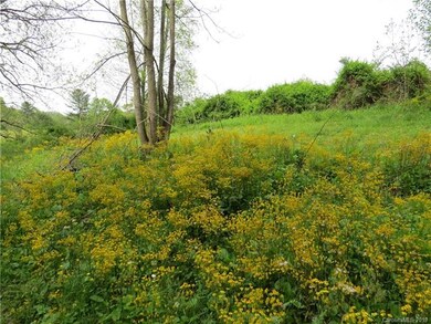 104 Old Dairy Ln, Burnsville, NC 28714 - photo 2