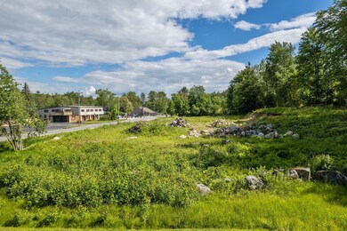 25 Daniel Webster Hwy unit Lot 025 Map 227, Center Harbor, NH 03226 - photo 2
