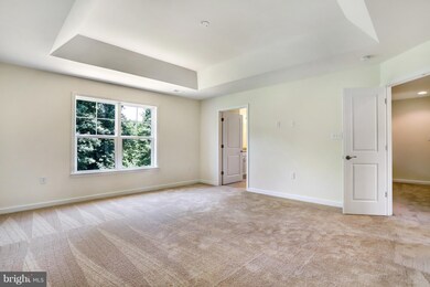 235 Tributary Trail, Falling Waters, WV 25419 - photo 4