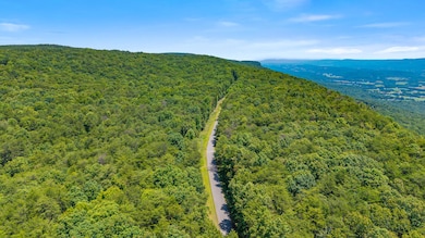 18.69 Ac Windridge Dr, Dunlap, TN 37327 - photo 3