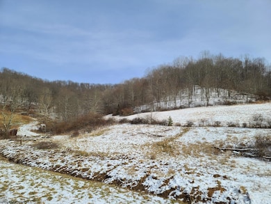 1931 Saint Leo Rd, Wadestown, WV 26590 - photo 4