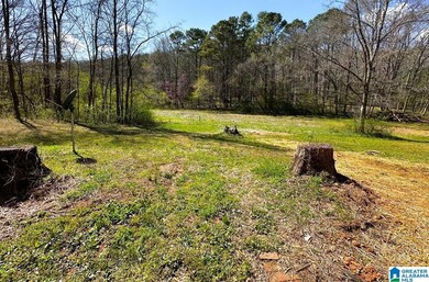 1931 Red Valley Rd, Remlap, AL 35133 - photo 6