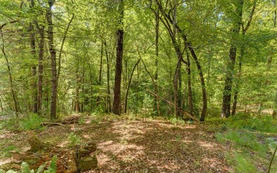 Additional View