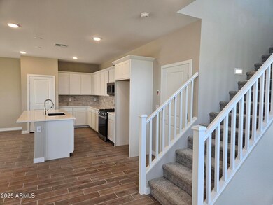 Citrus Park Lot 241 Kitchen