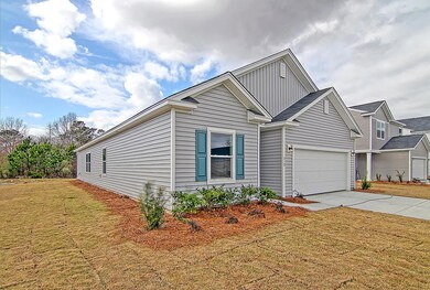 CREM_212 Cypress Plantation_002