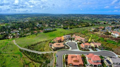 3619 Corte Claro, Carlsbad, CA 92009 - photo 4