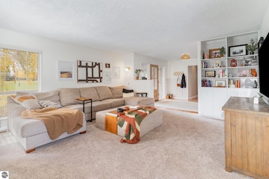 424 Fairlane Dr, Alma, MI 48801 - photo 5