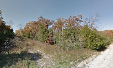 6854+VFP Horseshoe Bend unit Arkansas AR USA, Horseshoe Bend, AR 72512 - photo 5