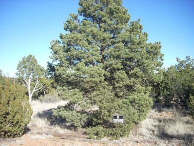 DSCN8318.jpg