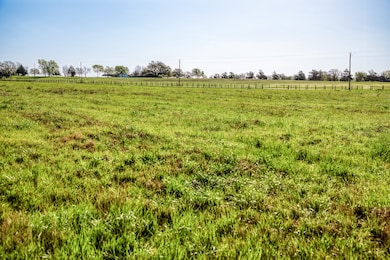 Tracts 10&11 Fieldcrest Ln, Burton, TX 77835 - photo 7