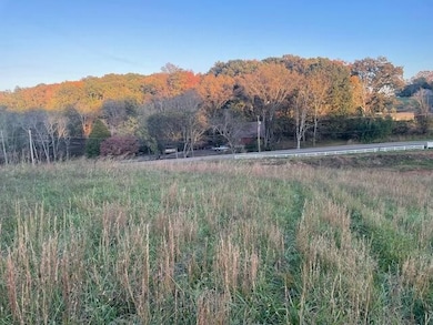 184 Waters Edge Dr, Spring City, TN 37381 - photo 6