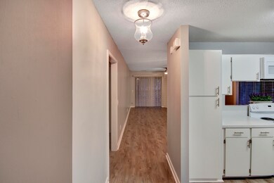 New Light Fixtures