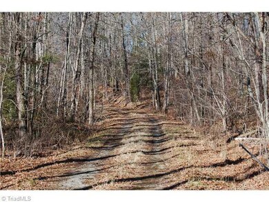 0 Pisgah Covered Bridge Rd unit 601041, Asheboro, NC 27205 - photo 2