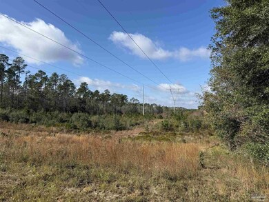 000 Highway 95a N, Cantonment, FL 32533 - photo 4