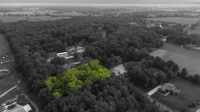 62880 Braun Dr, Washington, MI 48094 - photo 3