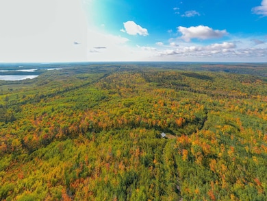 TBD Hwy 135, Biwabik, MN 55708 - photo 3