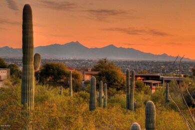 City, Mt Wrightson views