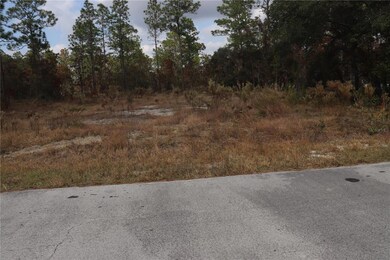 00 Geranium Ave, Dunnellon, FL 34431 - photo 5