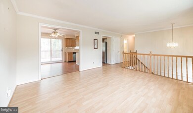 133 N Hunter Forge Rd, Newark, DE 19713 - photo 3