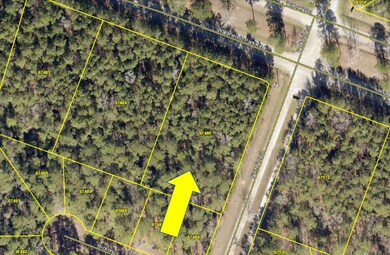 0 Waterwood unit 37827872, Huntsville, TX 77320 - photo 2