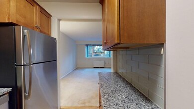 Hammond Park Condominiums unit 16, Chestnut Hill, MA 02467 - photo 7