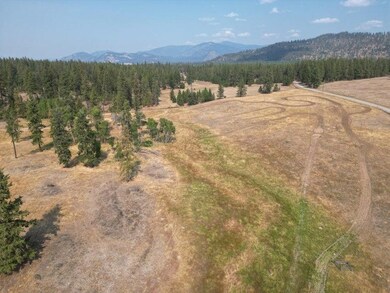 329X Skok Rd, Valley, WA 99181 - photo 7