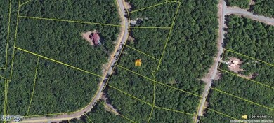 110 Blue Heron Way, Hawley, PA 18428 - photo 7