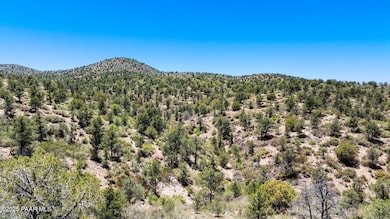 0 N Buckhorn 17 Trail, Prescott, AZ 86303 - photo 7