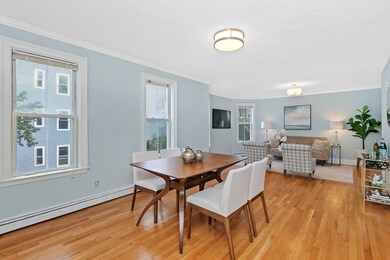 46 Woodlawn St unit 6, Jamaica Plain, MA 02130 - photo 6