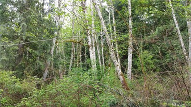 1 Zion View Ln, Quilcene, WA 98376 - photo 4