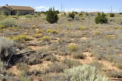 Lot 37 Old Woodruff Rd (11)