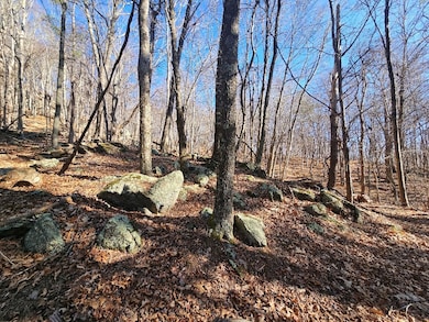 Lot#6 Fannies Ln, Fries, VA 24330 - photo 2