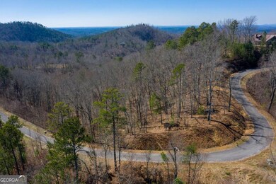 278 Carters Overlook Dr, Ranger, GA 30734 - photo 6