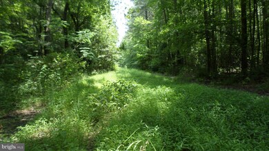 0 Leedstown Rd unit VAWE2006976, Colonial Beach, VA 22443 - photo 7