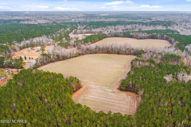 2-web-or-mls-DJI_0618