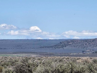 CV 40 acres 7