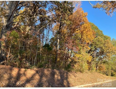 00 Robinson Rd, Salisbury, NC 28144 - photo 3